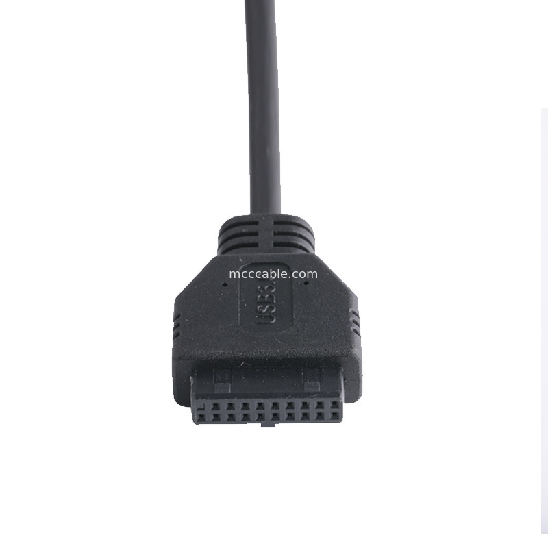20P Wanita USB 3.0 Tipe-C ke IDC Adaptor Kabel Resistor Internal Hitam Kawat PVC OEM ODM