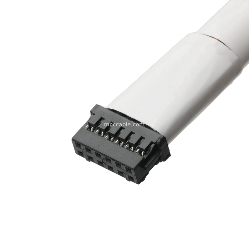 12Pin PA66 P/N DF11-12DS-2C UL 1007 24AWG Kabel Connector Assembly OEM/ODM