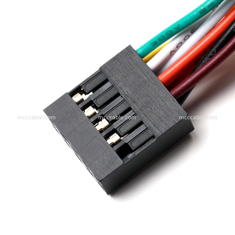 Molex 2.54mm 10-Pin Front Panel Cable Assembly untuk Aplikasi OEM Custom