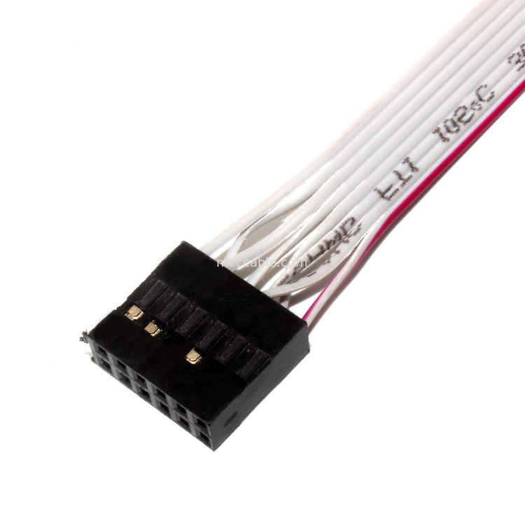 IDC 12 PIN Kabel Pita Fleksibel Datar DF19 KE JST RF untuk kabel daya PCBA