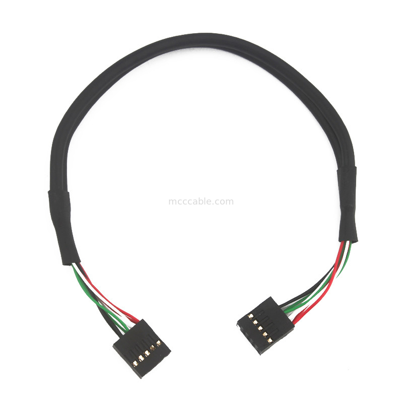 2.54mm Dual Usb Wire Harness Bb To Sbc 10 POS MOLEX 22552101 kabel