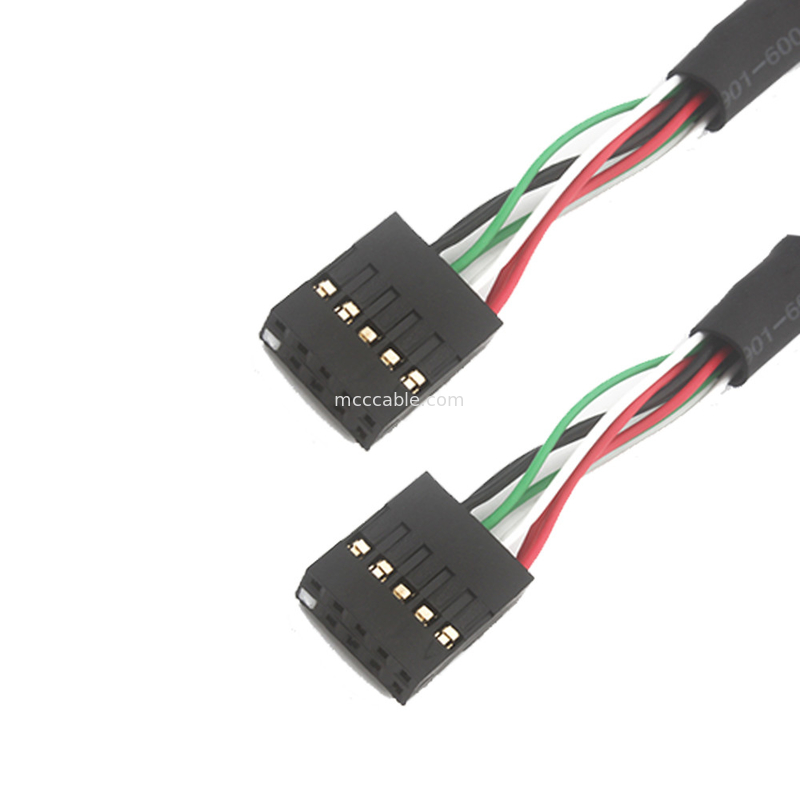 2.54mm Dual Usb Wire Harness Bb To Sbc 10 POS MOLEX 22552101 kabel